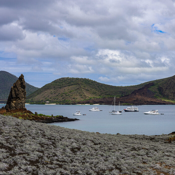 Isola